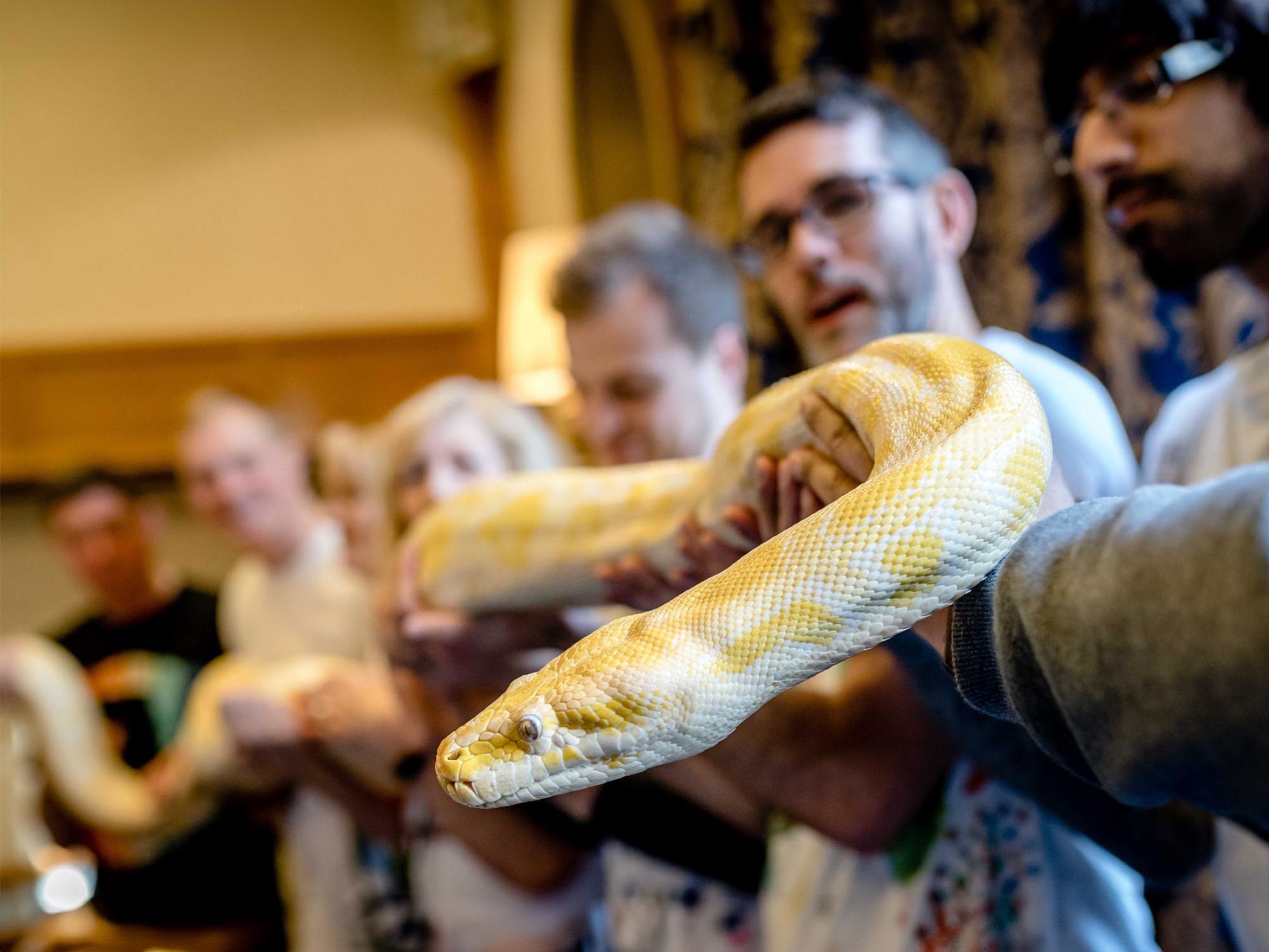 Team Building Activities in Swindon