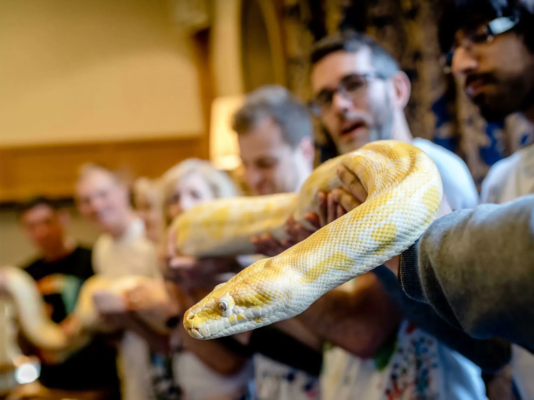 Team Building Activities in Swindon