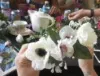 Mobile Flower Crown Making Event