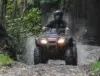 Quad Biking Action