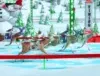 Reindeer Games Experience