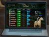 Virtual Horse Racing Activities