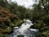 White Water Rafting Wales
